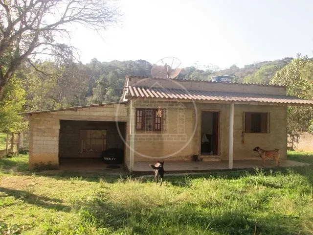 Sítio, 2 quartos, 12 hectares - Foto 14