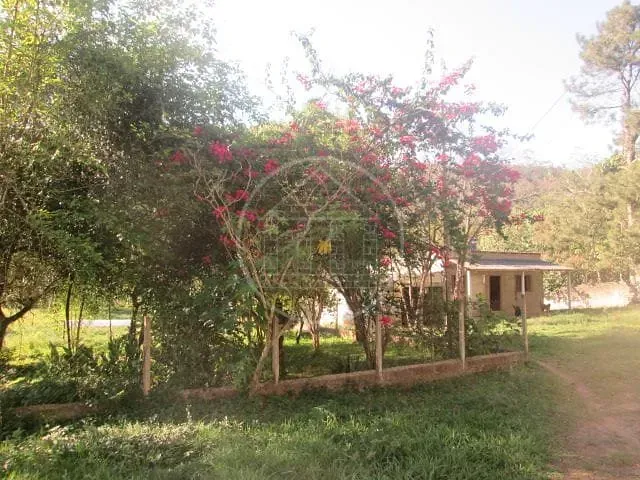 Sítio, 2 quartos, 12 hectares - Foto 16