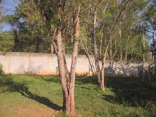 Sítio, 2 quartos, 12 hectares - Foto 25