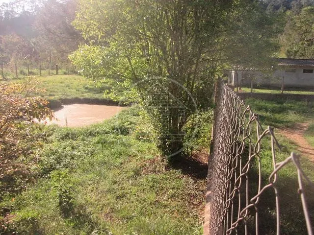 Sítio, 2 quartos, 12 hectares - Foto 21