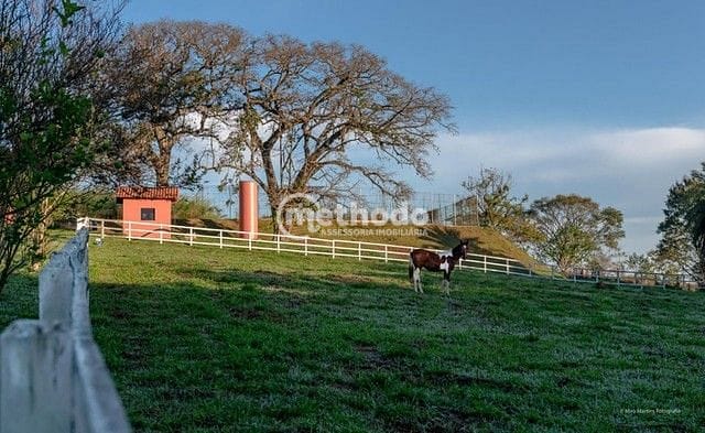 Sítio, 7 quartos, 6 hectares - Foto 15