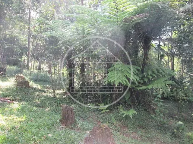 Chácara com 1000m² 1 quarto e 1 banheiro, à venda, no bairro Cipó em Embu-Guaçu