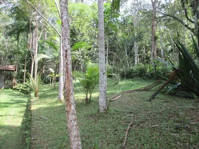 Sítio, 1 quarto, 1000 m² - Foto 19