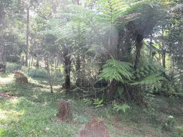 Chácara com 1000m² 1 quarto e 1 banheiro, à venda, no bairro Cipó em Embu-Guaçu
