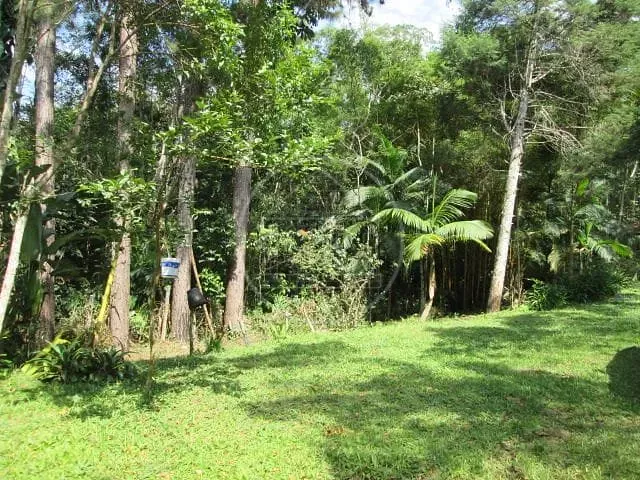 Sítio, 1 quarto, 1000 m² - Foto 14