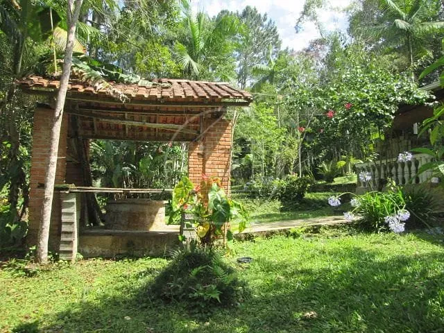 Sítio, 1 quarto, 1000 m² - Foto 6