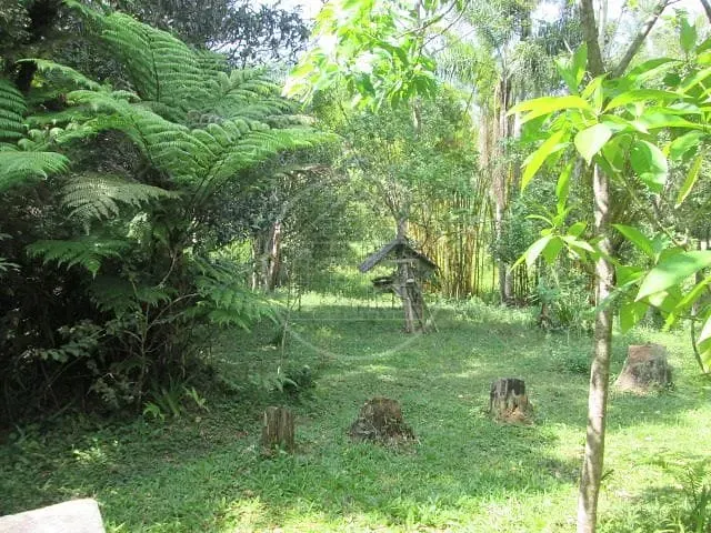 Sítio, 1 quarto, 1000 m² - Foto 3