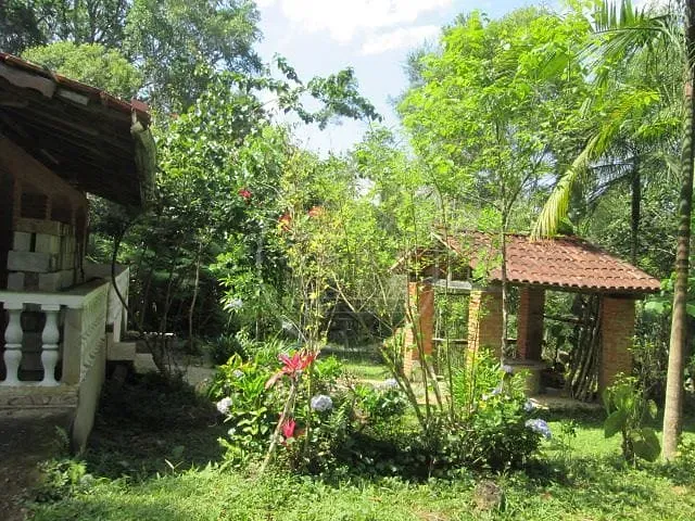 Sítio, 1 quarto, 1000 m² - Foto 17