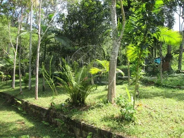 Sítio, 1 quarto, 1000 m² - Foto 15