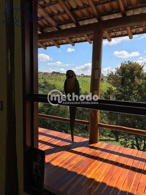 Sítio, 3 quartos, 2 hectares - Foto 20