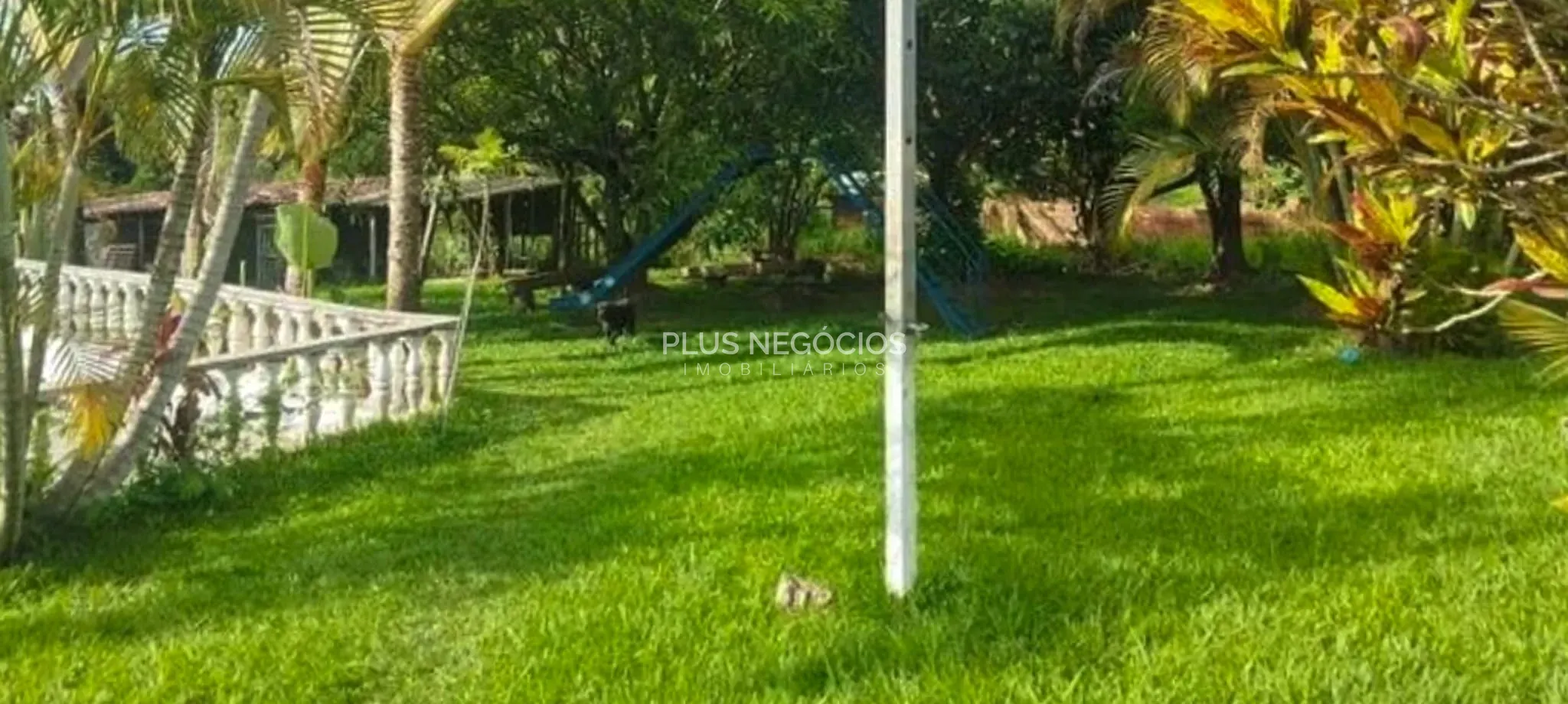 Chácara, 3 quartos, 10 m² - Foto 5