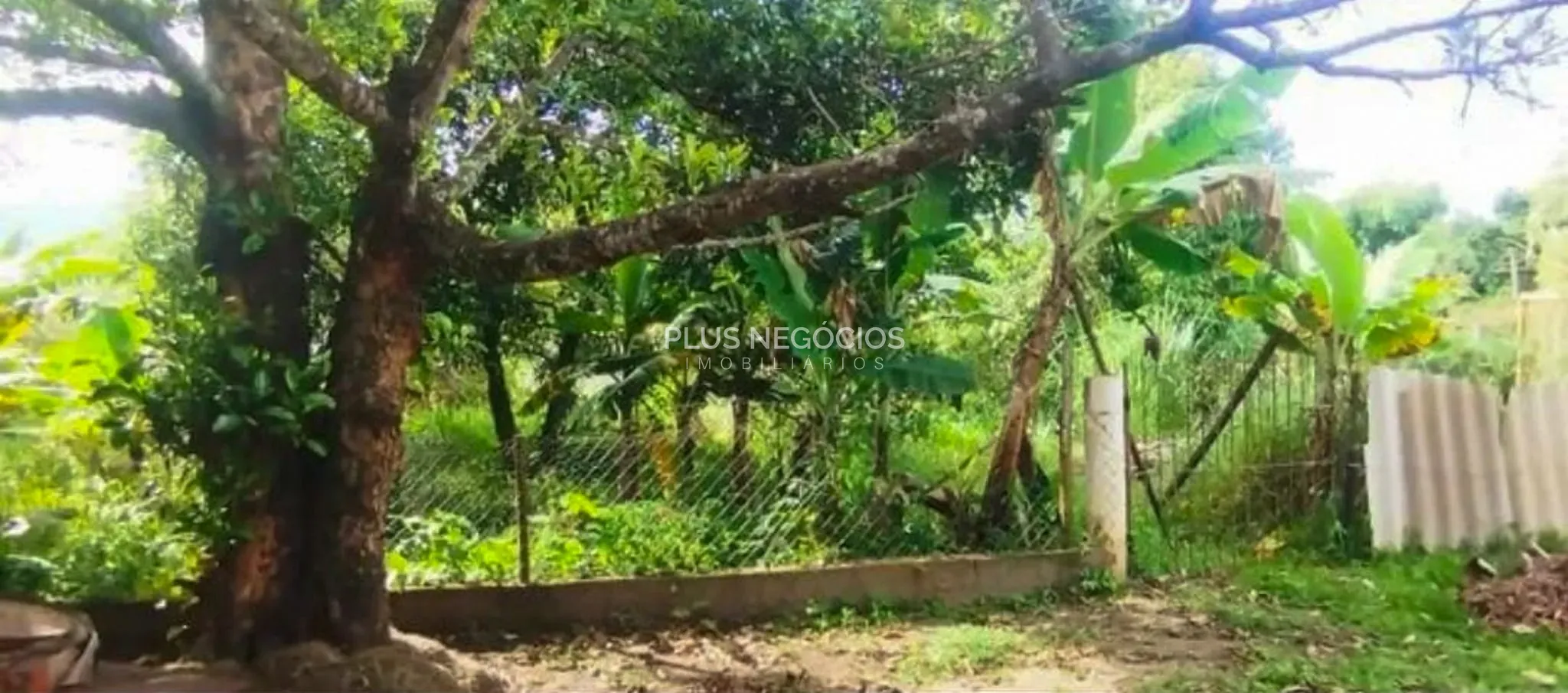 Chácara, 3 quartos, 10 m² - Foto 6