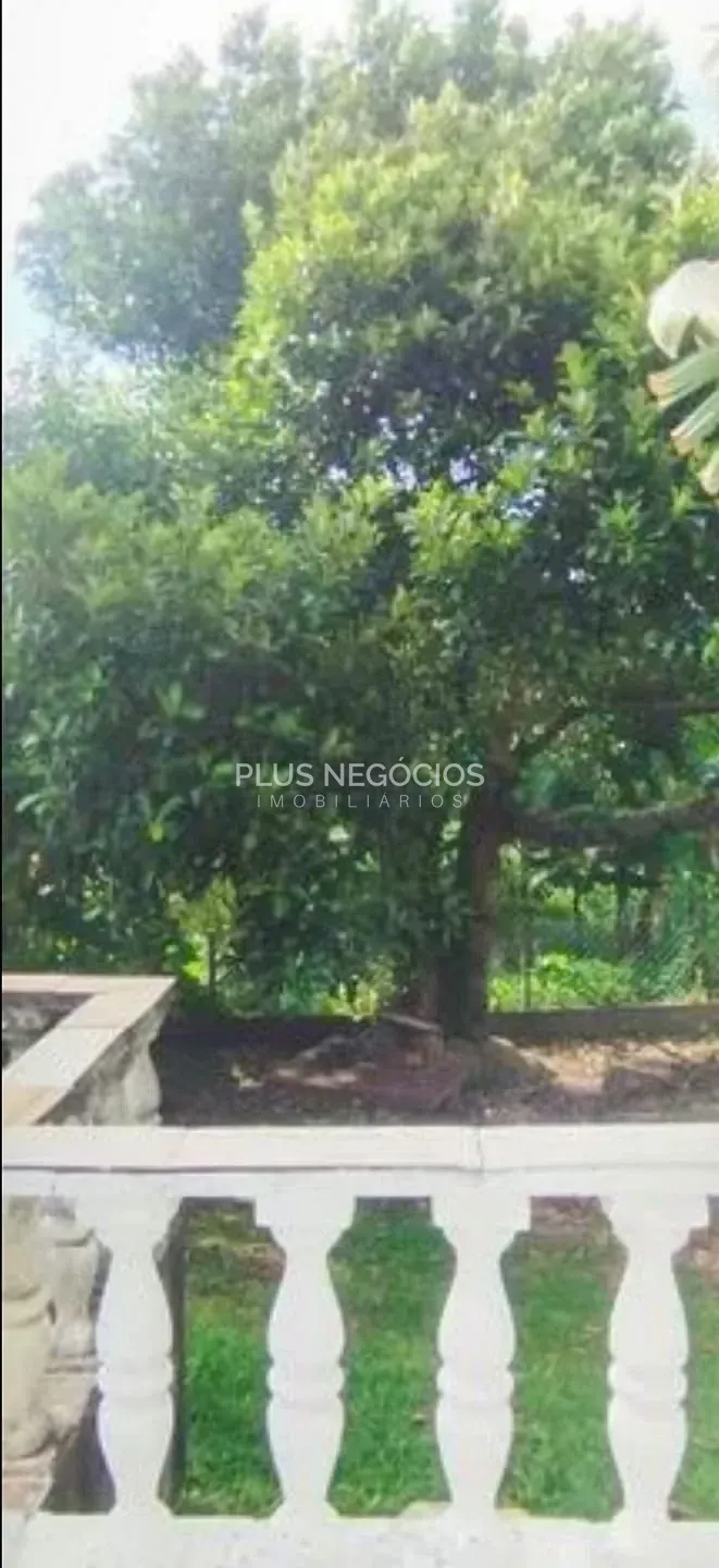 Chácara, 3 quartos, 10 m² - Foto 11