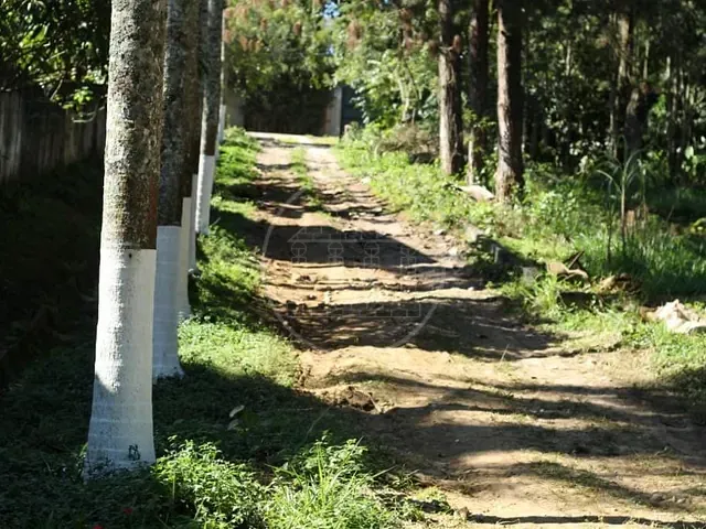Chácara com 12500m² 5 quartos e 4 banheiros, à venda, no bairro Jardim Santa Tereza em São Paulo