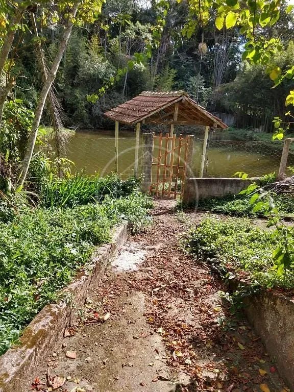 Sítio, 5 quartos, 1 hectares - Foto 6