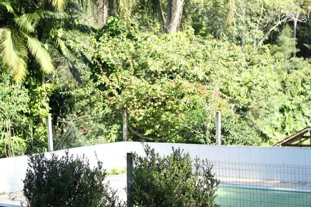 Sítio, 5 quartos, 1 hectares - Foto 16