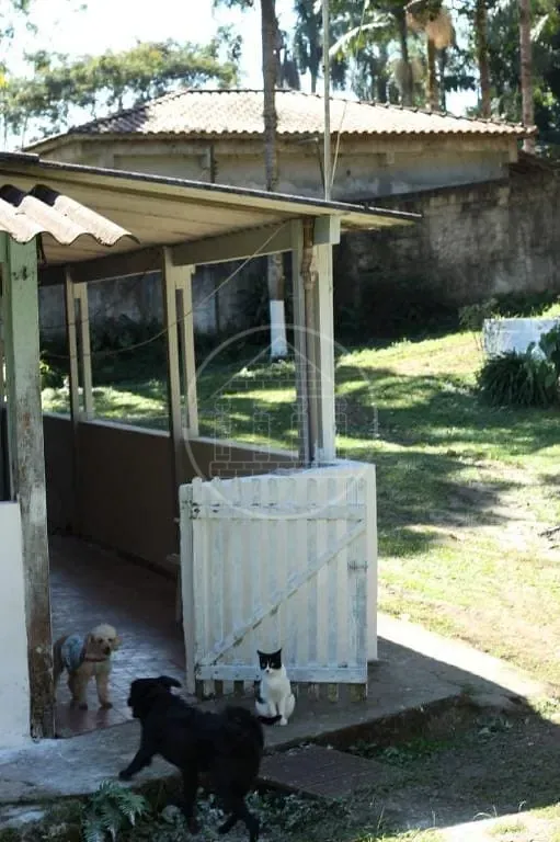 Sítio, 5 quartos, 1 hectares - Foto 15