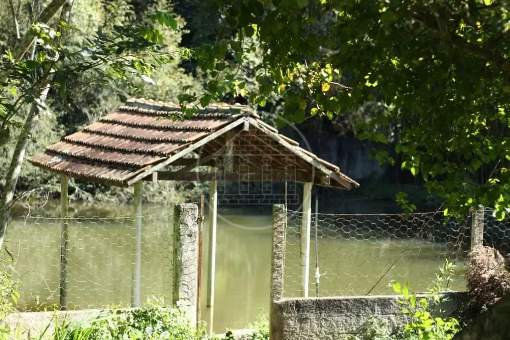 Sítio, 5 quartos, 1 hectares - Foto 1
