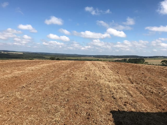 Chácara com 70000m² 1 quarto e 1 banheiro, à venda, no bairro Área Rural Lapa em Lapa