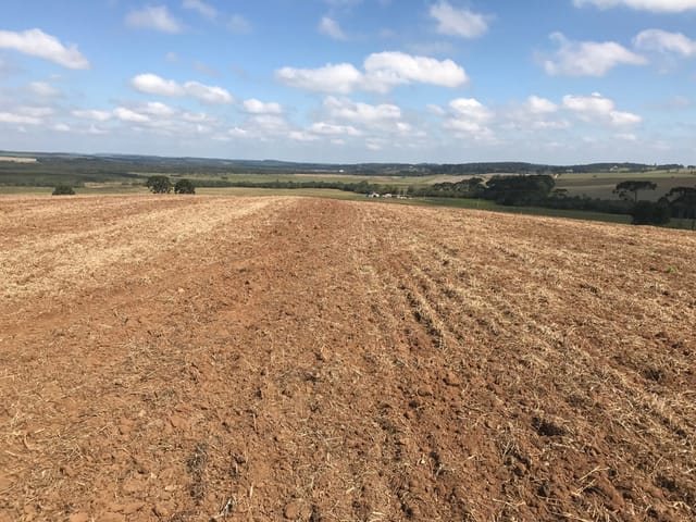 Chácara com 70000m² 1 quarto e 1 banheiro, à venda, no bairro Área Rural Lapa em Lapa