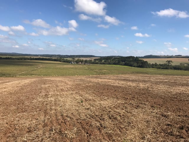 Foto do Chácara - Lapa, Chácara  7 Hectares Plana, Cultivo, à 3km Centro da Cidade, à venda, Área Rural, PR | Imobiliária GreenVille
