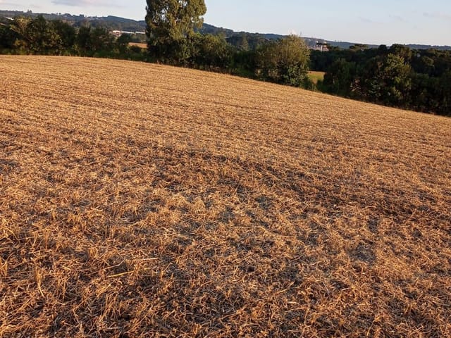Foto do Chácara - Lapa, Chácara  7 Hectares Plana, Cultivo, à 3km Centro da Cidade, à venda, Área Rural, PR | Imobiliária GreenVille