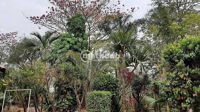 Chácara, 3 quartos, 4189 m² - Foto 24