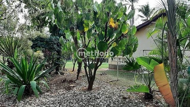 Chácara, 3 quartos, 4189 m² - Foto 19