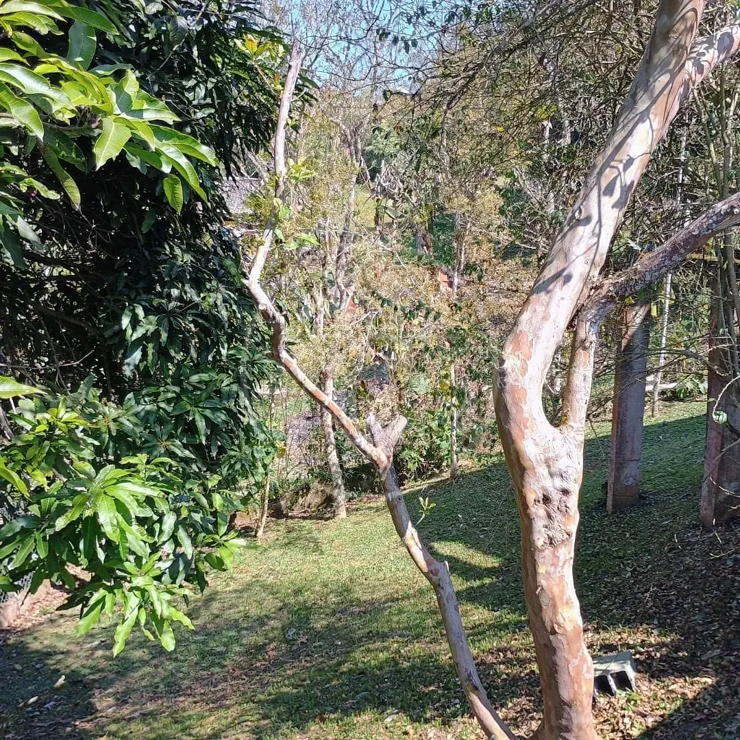 Sítio, 3 quartos, 5250 m² - Foto 29