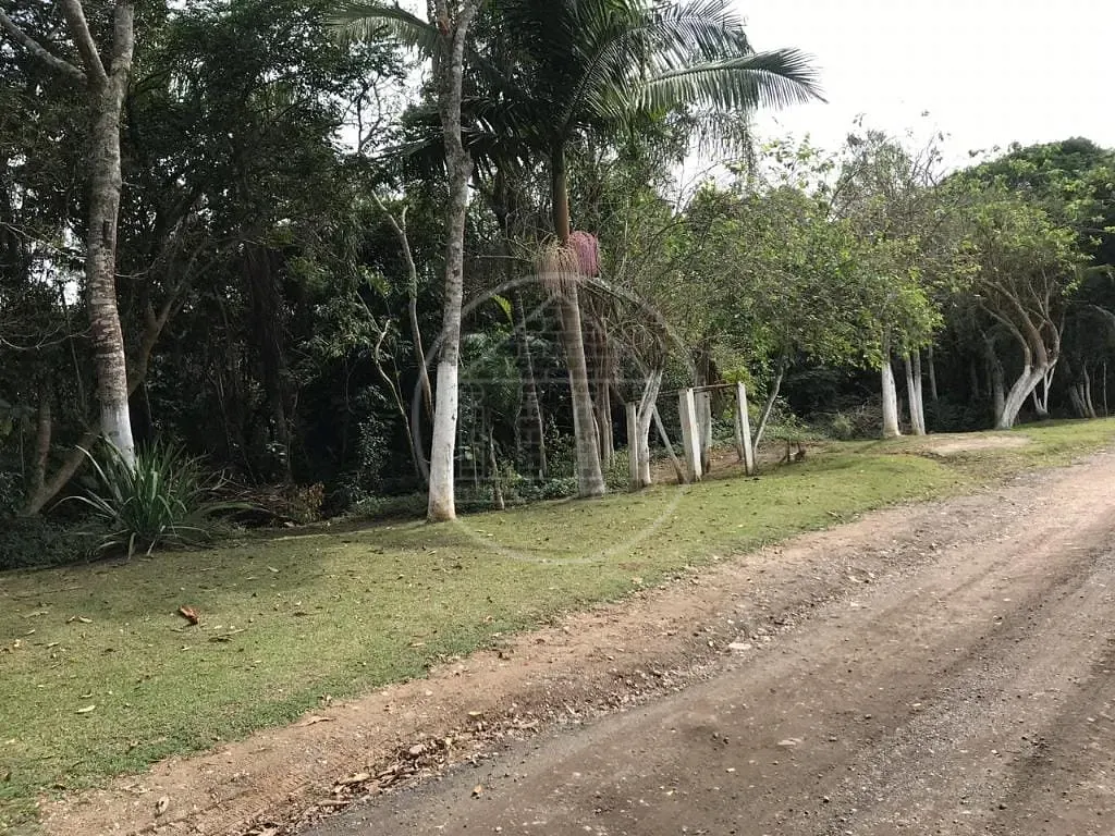 Sítio, 6 quartos, 4000 m² - Foto 48