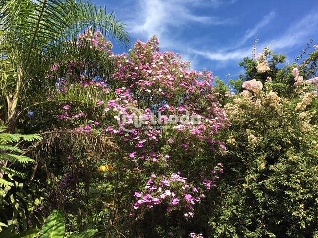 Chácara, 3 quartos, 2400 m² - Foto 6