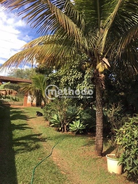 Chácara, 3 quartos, 2400 m² - Foto 24