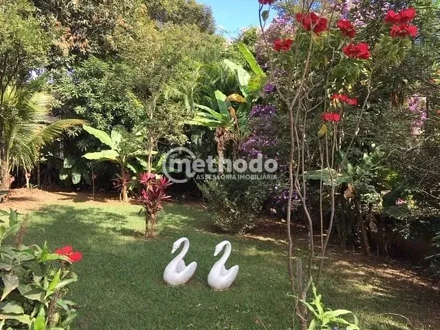 Chácara com 2400m² 3 quartos e 3 banheiros, à venda, no bairro Jardim Monte Belo em Campinas