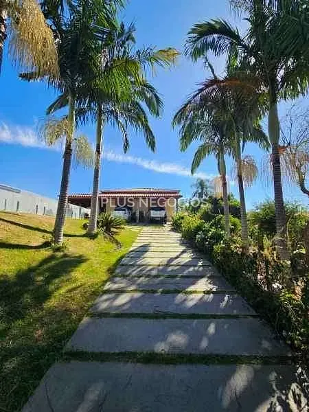 Chácara, 3 quartos, 1000 m² - Foto 17
