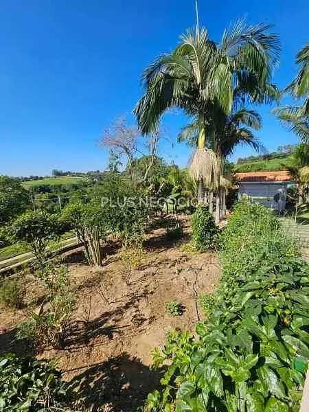 Chácara, 3 quartos, 1000 m² - Foto 24