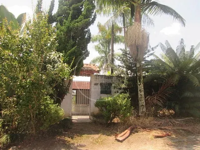 Sítio, 3 quartos, 720 m² - Foto 41