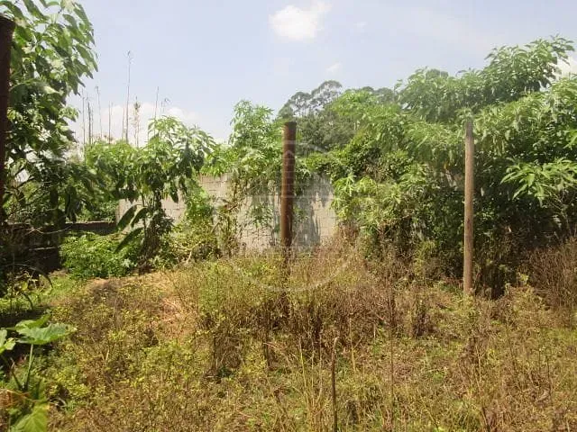 Sítio, 3 quartos, 720 m² - Foto 36