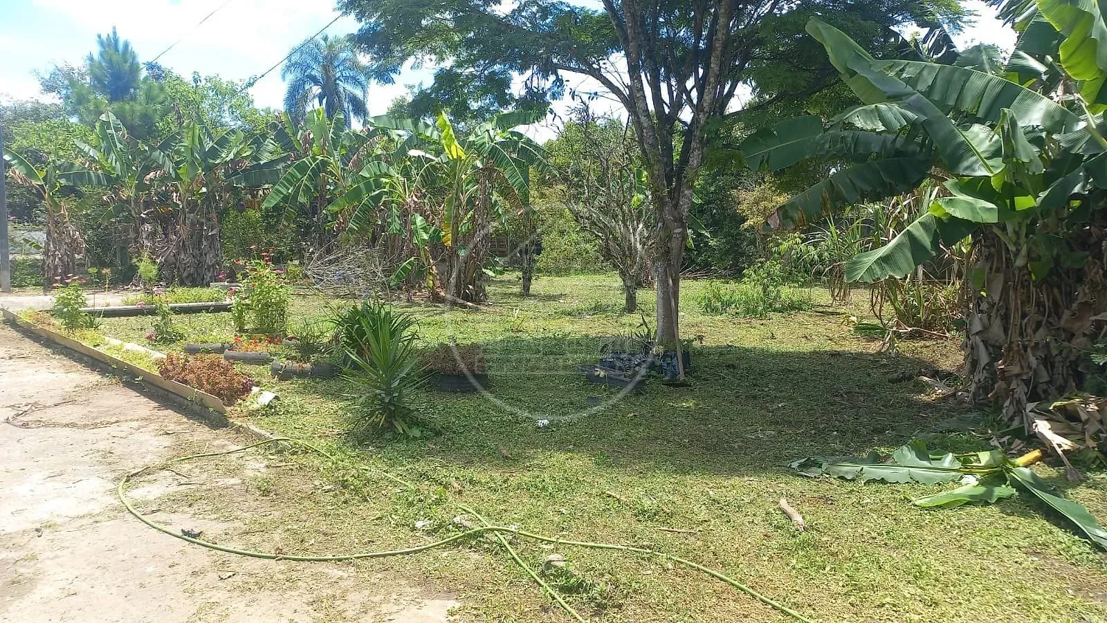 Sítio, 3 quartos, 1500 m² - Foto 6