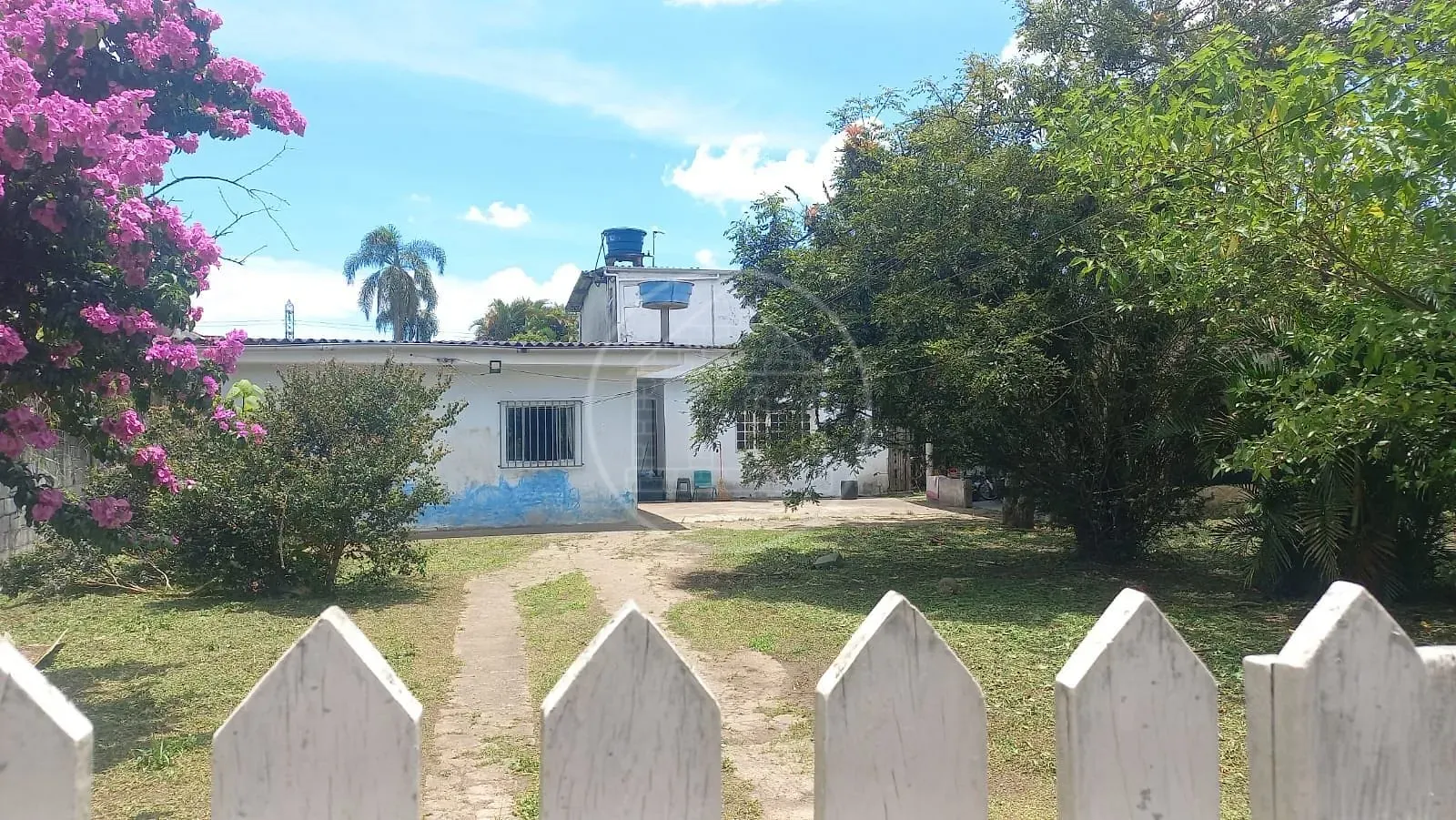 Sítio, 3 quartos, 1500 m² - Foto 4