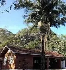 Chácara, 6 quartos, 7000 m² - Foto 3