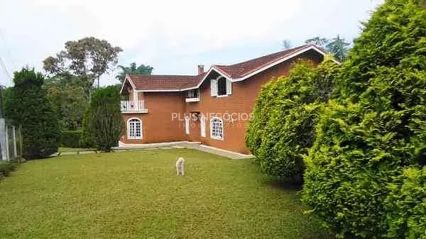 Chácara, 6 quartos, 7000 m² - Foto 1
