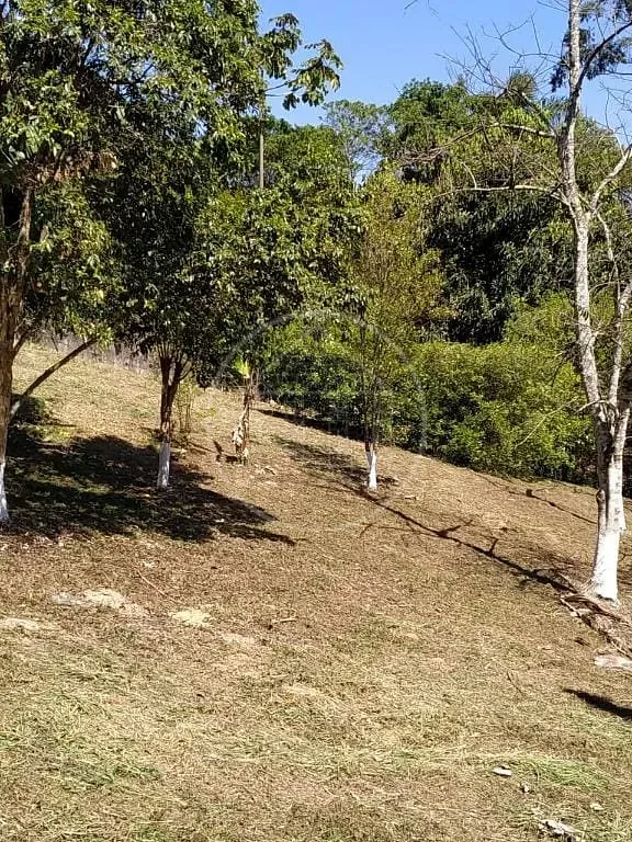 Sítio, 3 quartos, 2600 m² - Foto 19