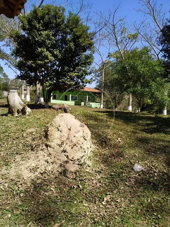 Sítio, 3 quartos, 2600 m² - Foto 18