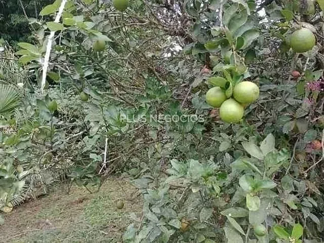 Chácara com 3000m² 4 quartos e 3 banheiros, à venda, no bairro piedade/tapirai em Piedade