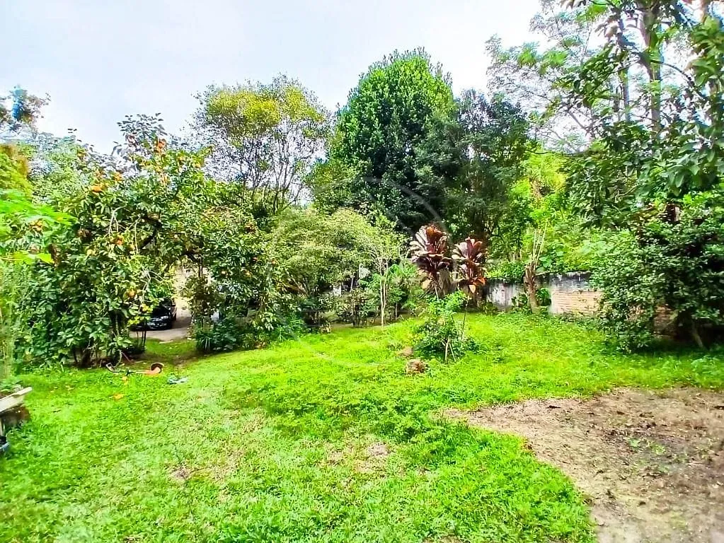 Sítio, 3 quartos, 4450 m² - Foto 6