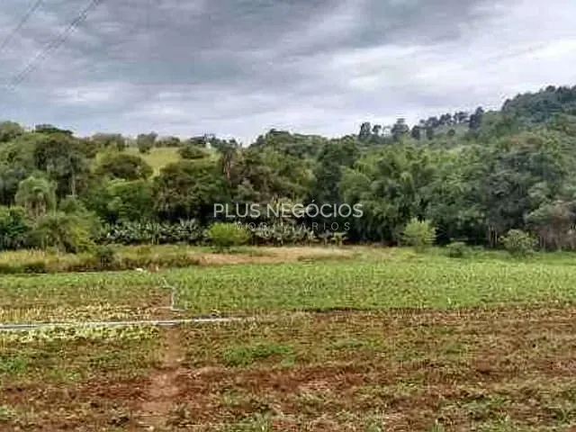 Chácara com 16500m² 4 quartos e 4 banheiros, à venda, no bairro centro em Piedade