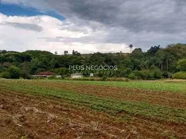 Chácara com 16500m² 4 quartos e 4 banheiros, à venda, no bairro centro em Piedade