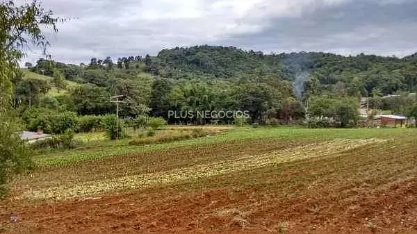 Chácara, 4 quartos, 2 hectares - Foto 8