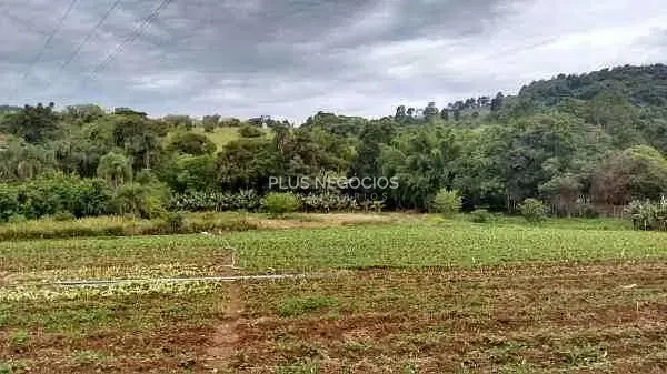 Chácara, 4 quartos, 2 hectares - Foto 2
