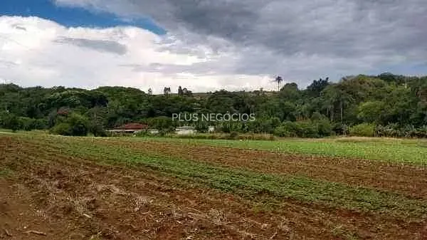 Chácara, 4 quartos, 2 hectares - Foto 4